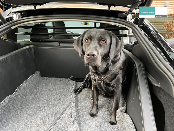 Tesla Model Y Dog Guard - Opdeler til bagagerum
